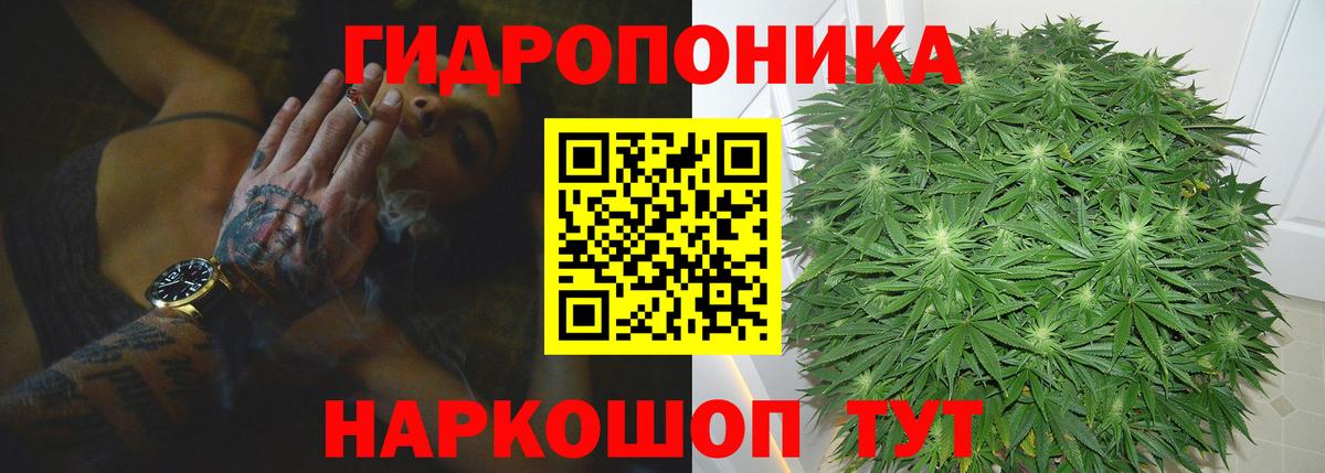 МАРИХУАНА OG Kush Дивногорск